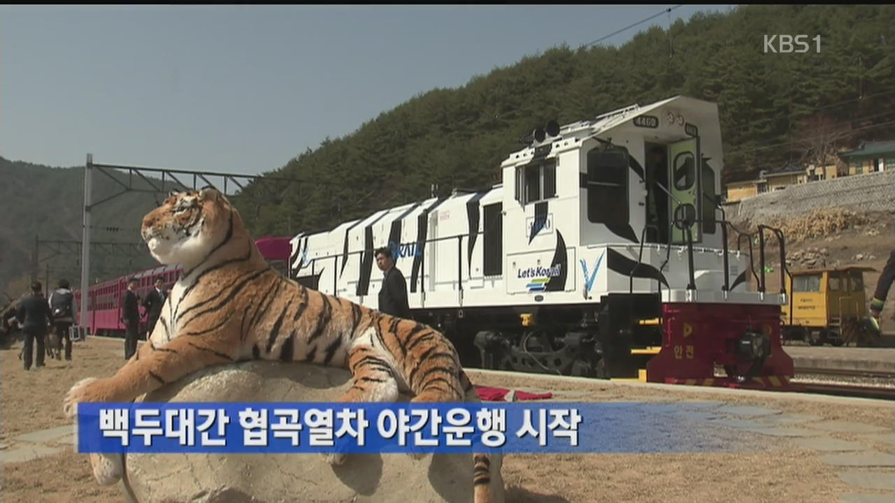 백두대간 협곡열차 야간 운행 시작