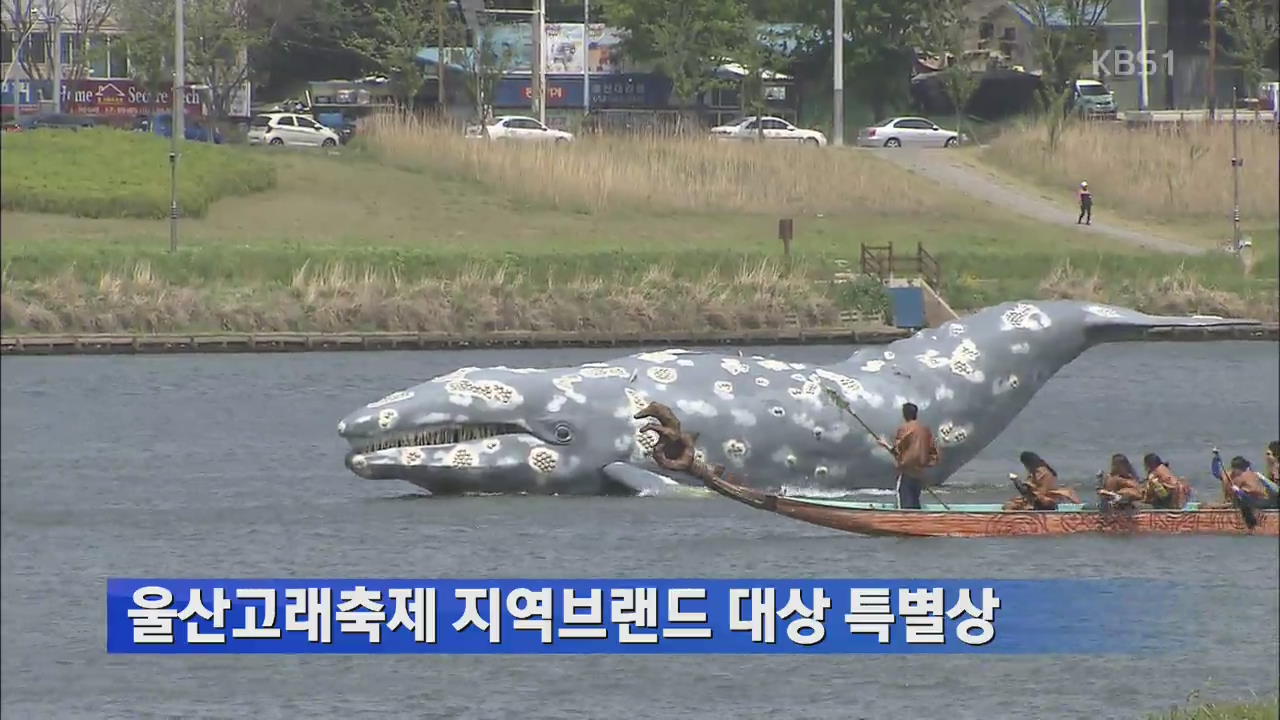 울산 고래축제 지역브랜드 대상 특별상