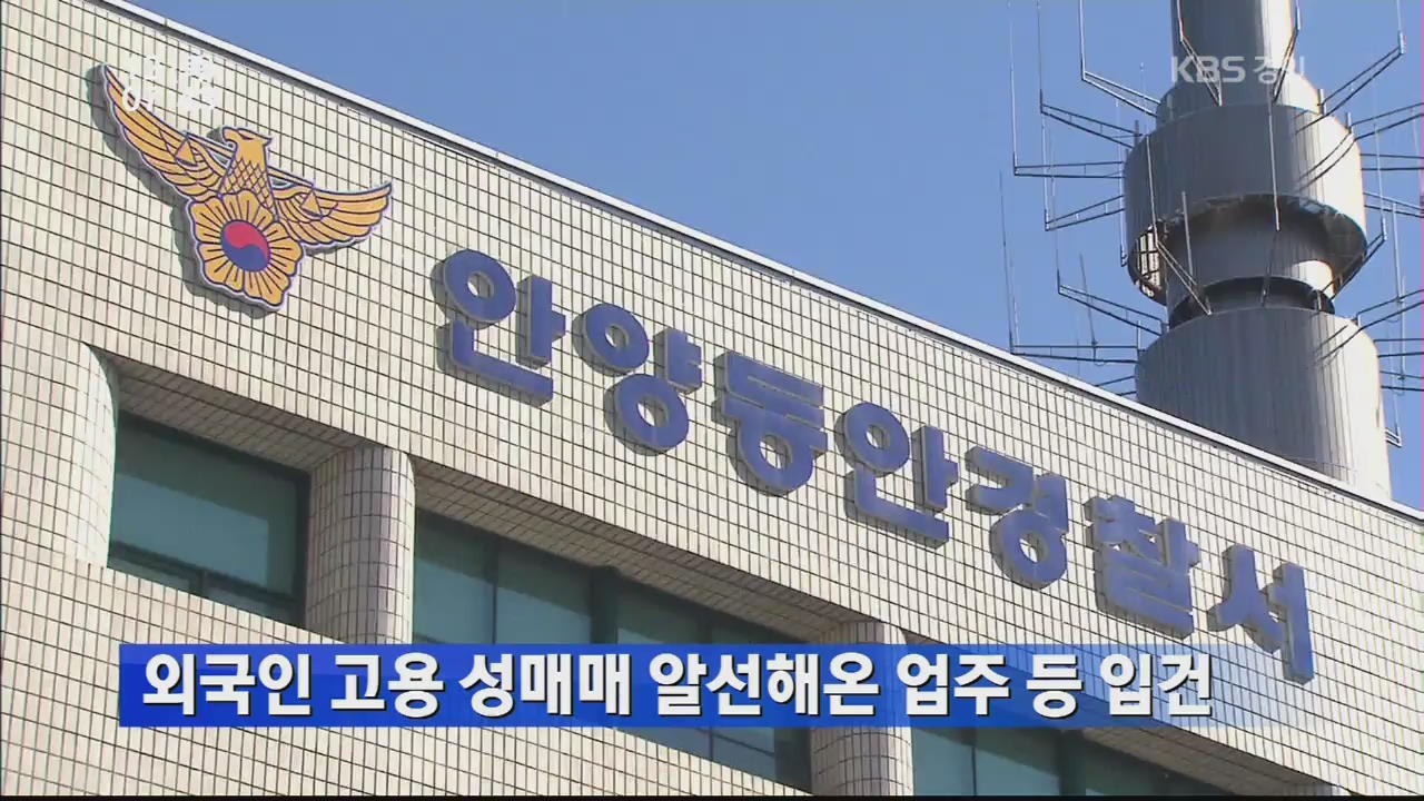 외국인 고용 성매매 알선해온 업주 등 입건
