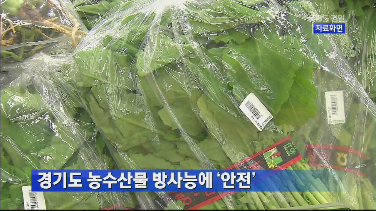 경기도 농수산물 방사능에 ‘안전’