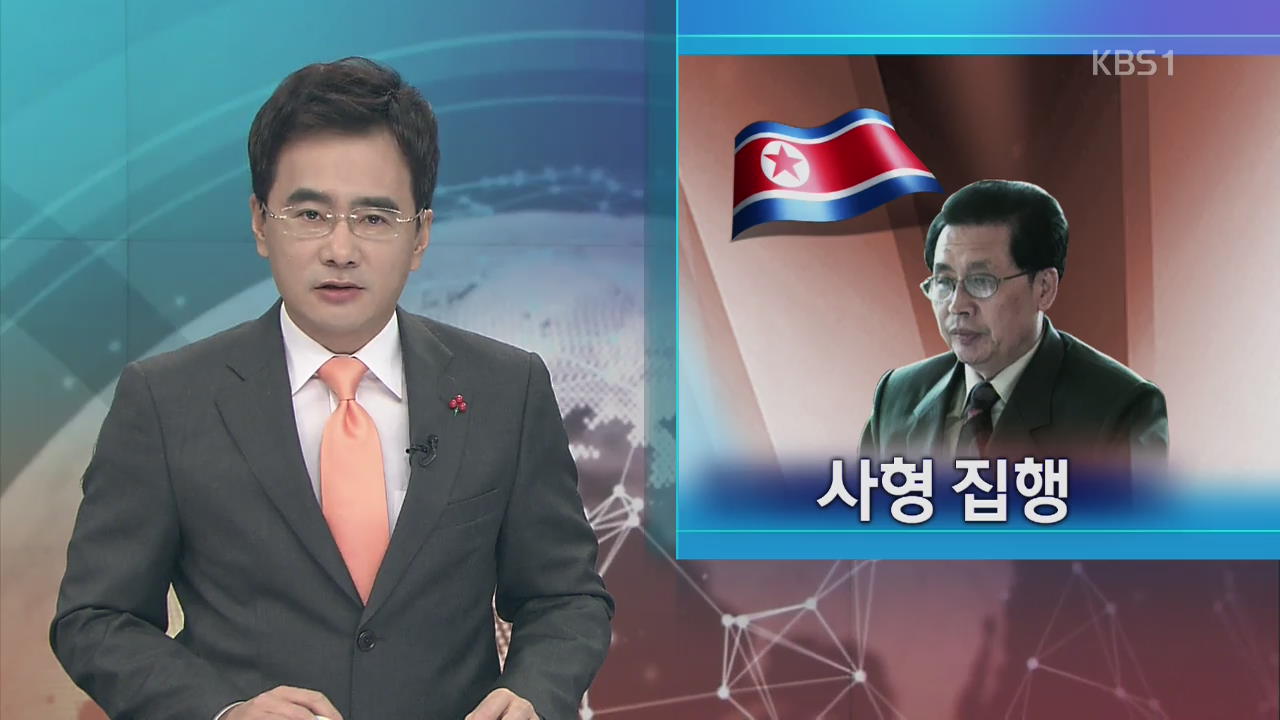 “북한 장성택 사형 집행”