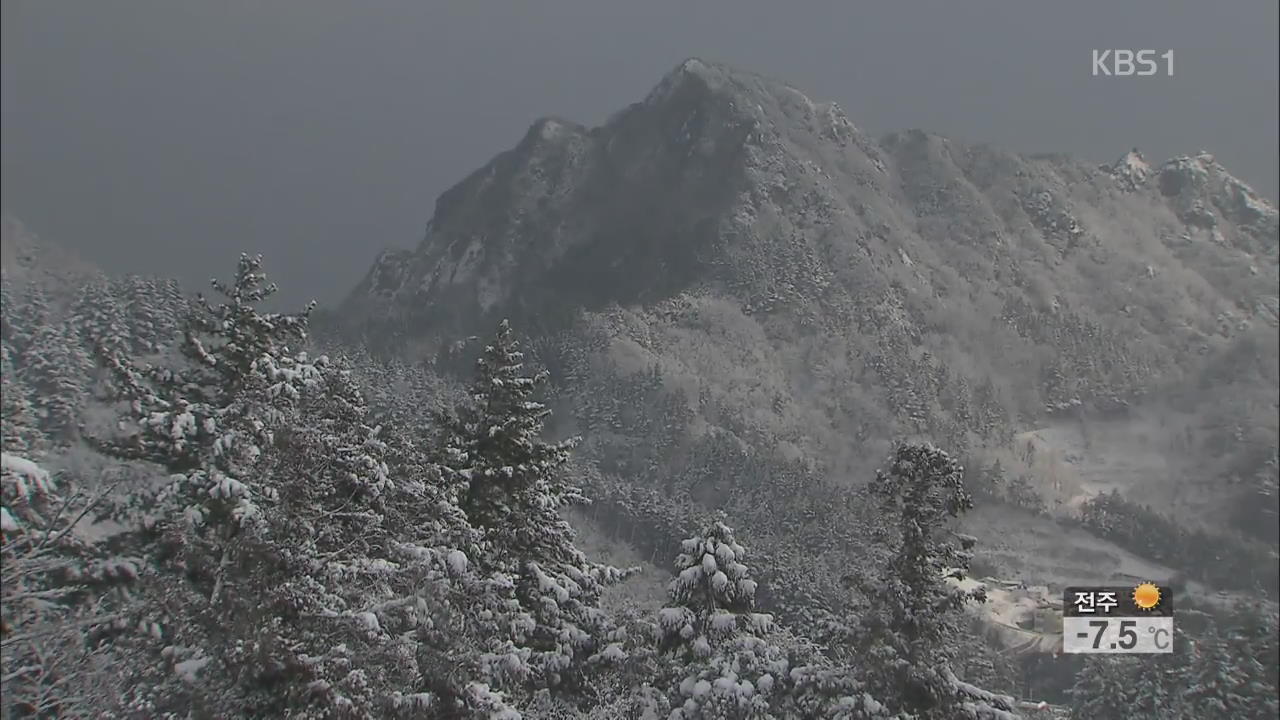 울릉도 대설경보…산간 지역 눈꽃 장관 연출