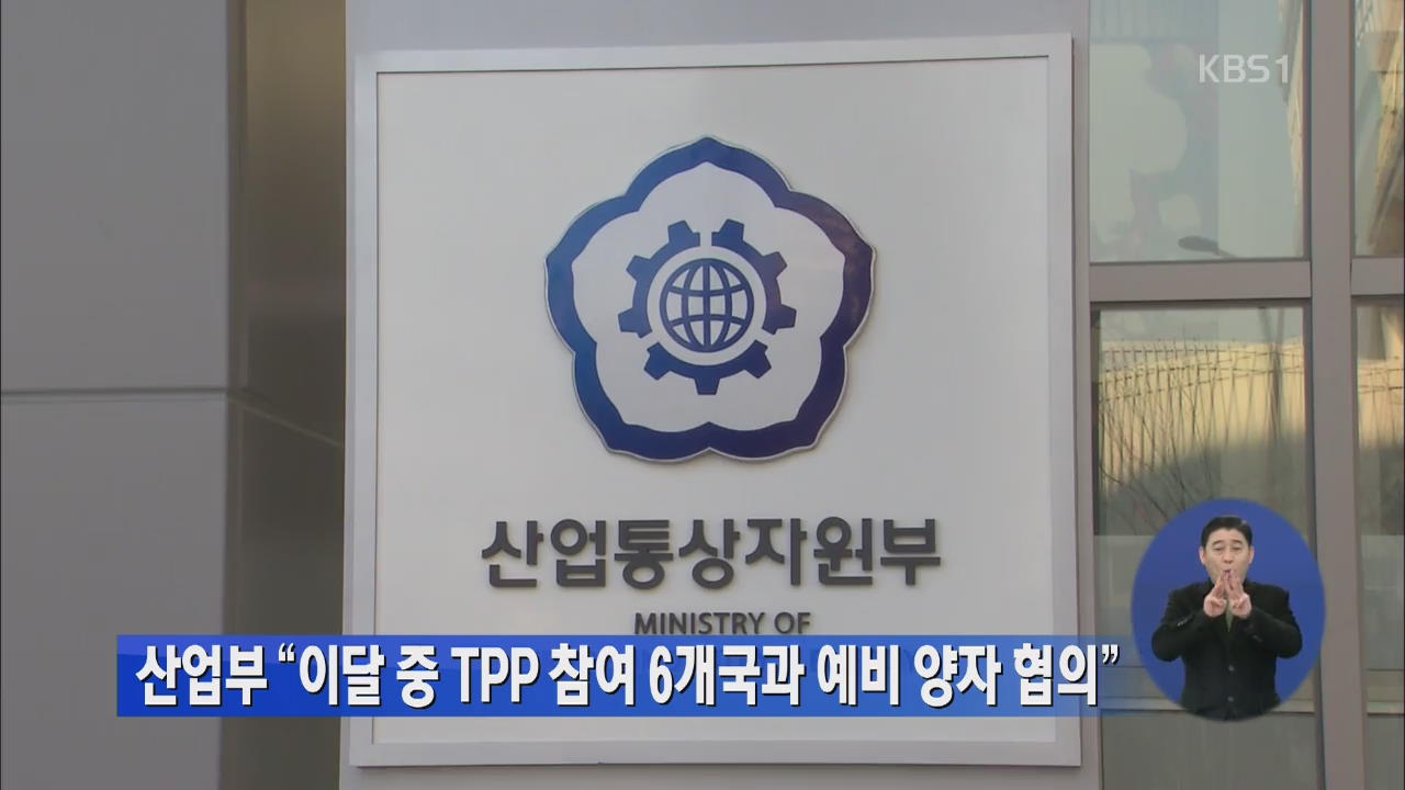산업부 “이달 중 TPP 참여 6개국과 예비 양자 협의”