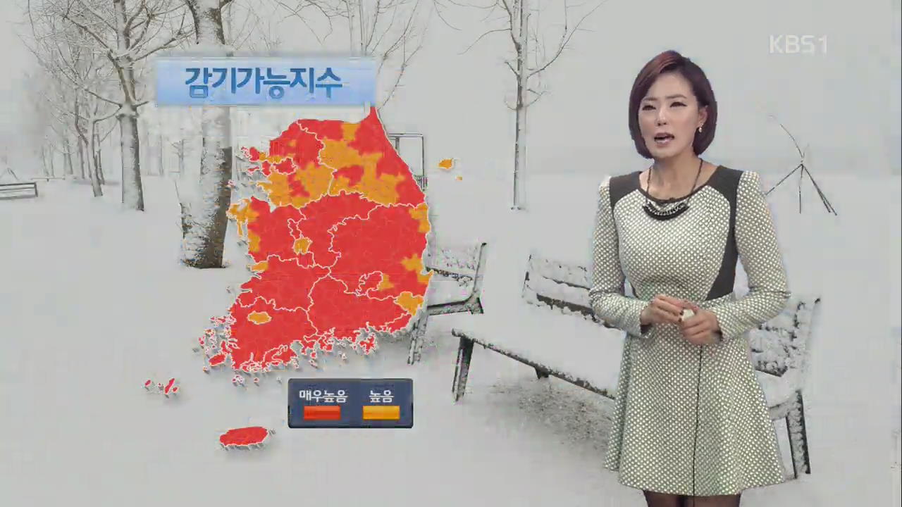 전국 매서운 한파…감기 가능 지수 매우 높음