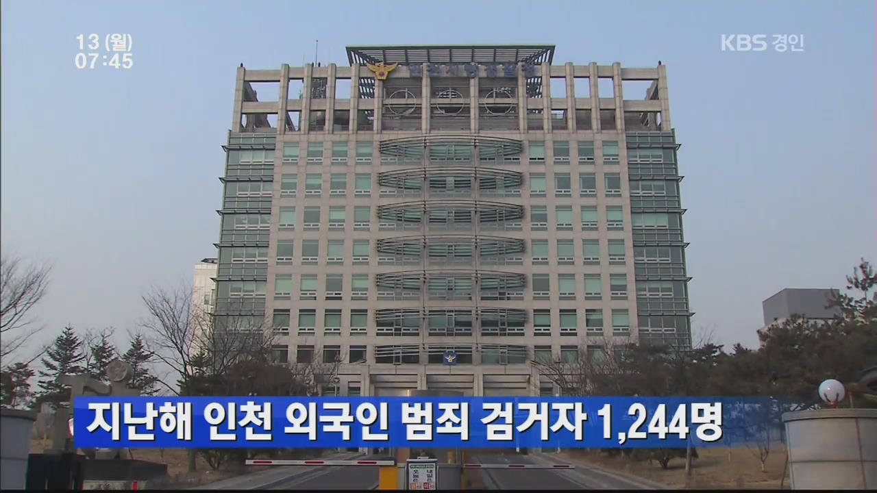 지난해 인천 외국인 범죄 검거자 1,244명