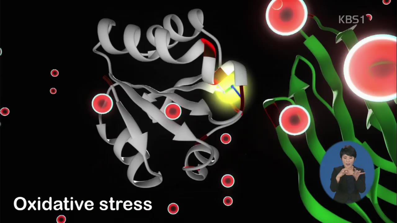 ‘활성산소 암·당뇨 유발’ 의문 풀렸다