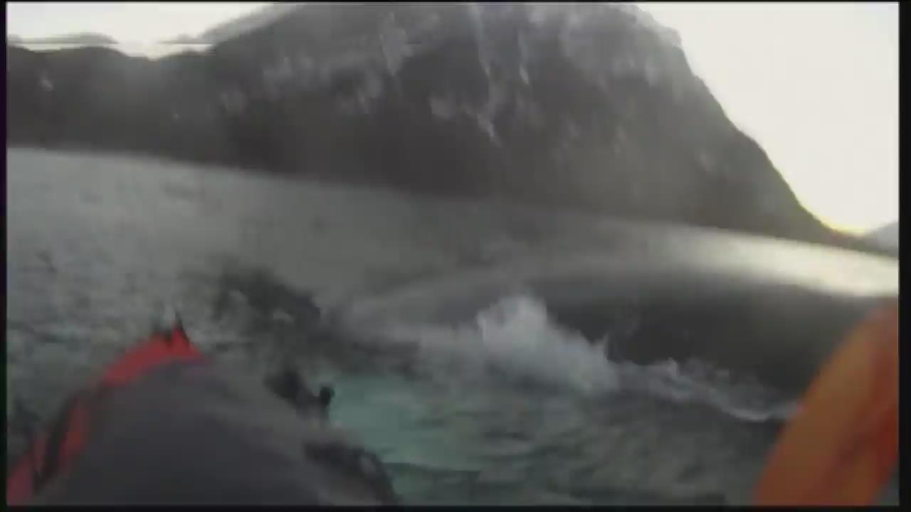 바다 한가운데서 만난 혹등고래 ‘아찔’
