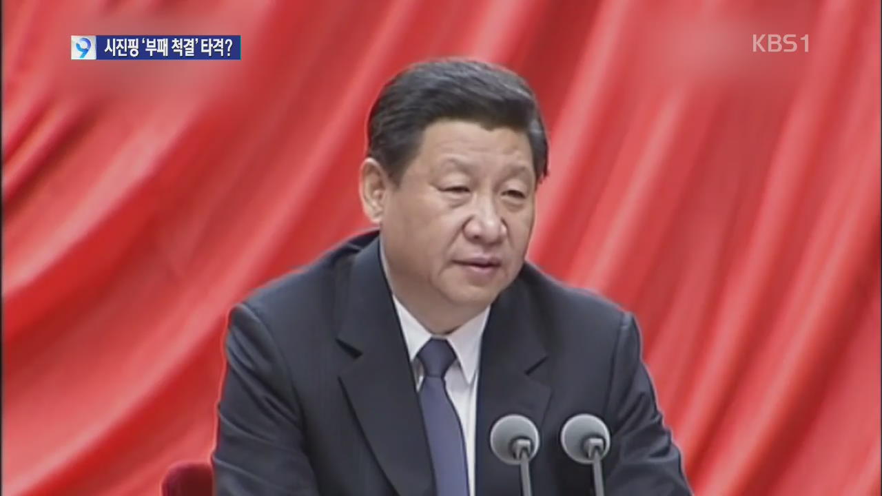 시진핑 ‘부패 척결’ 타격?…중국 “배후 의심”