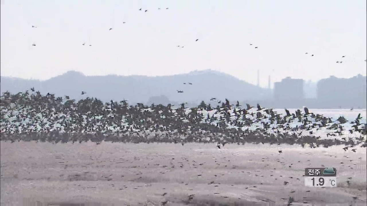 고병원 AI 농가 9곳…전국 철새도 우려