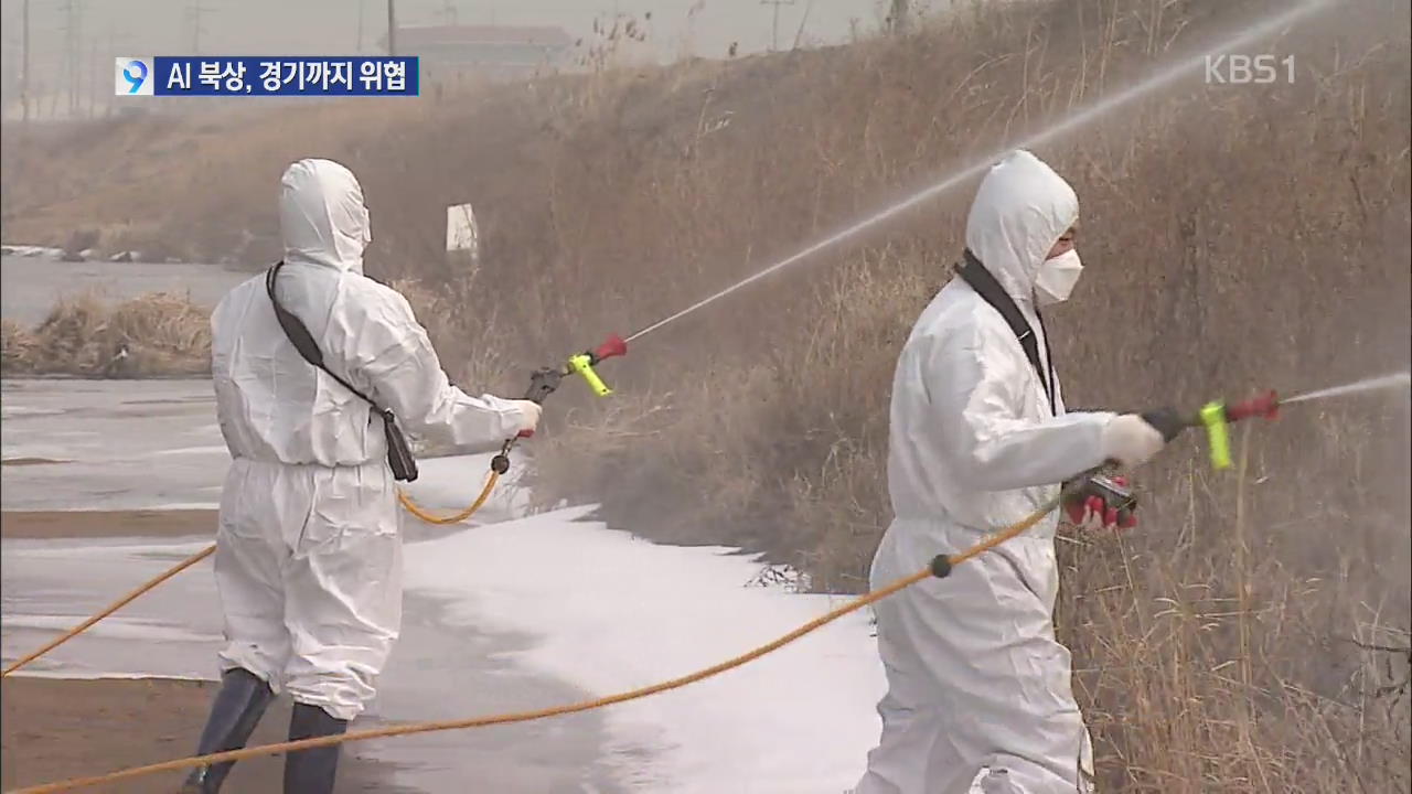 AI 북상, 경기까지 위협…전국 ‘도래지’ 통제