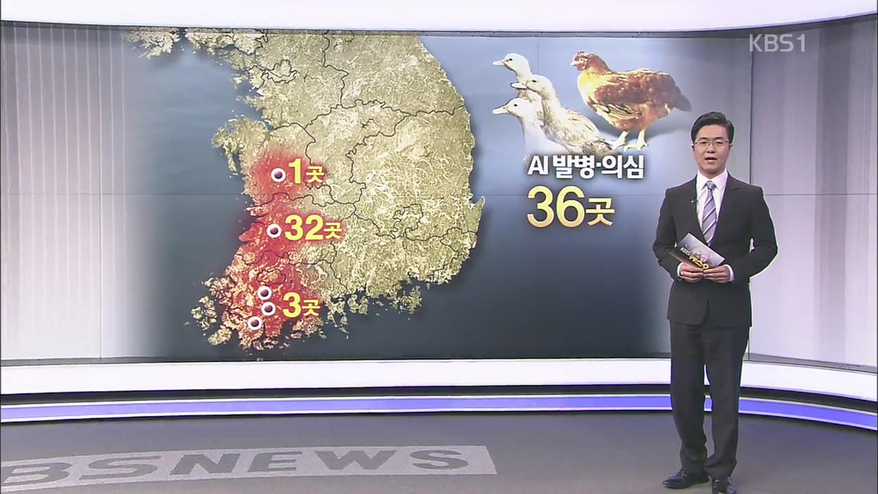 AI 닭·오리 발생…‘전남~수도권’ 전국 확산 조짐