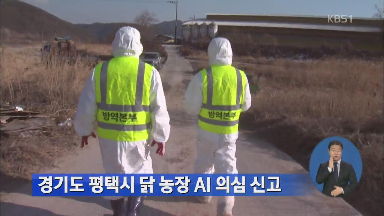 경기도 평택시 닭 농장 AI 의심 신고