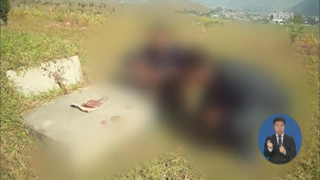 북 이산가족 “죽기 전 남측 가족 만나고 싶다”