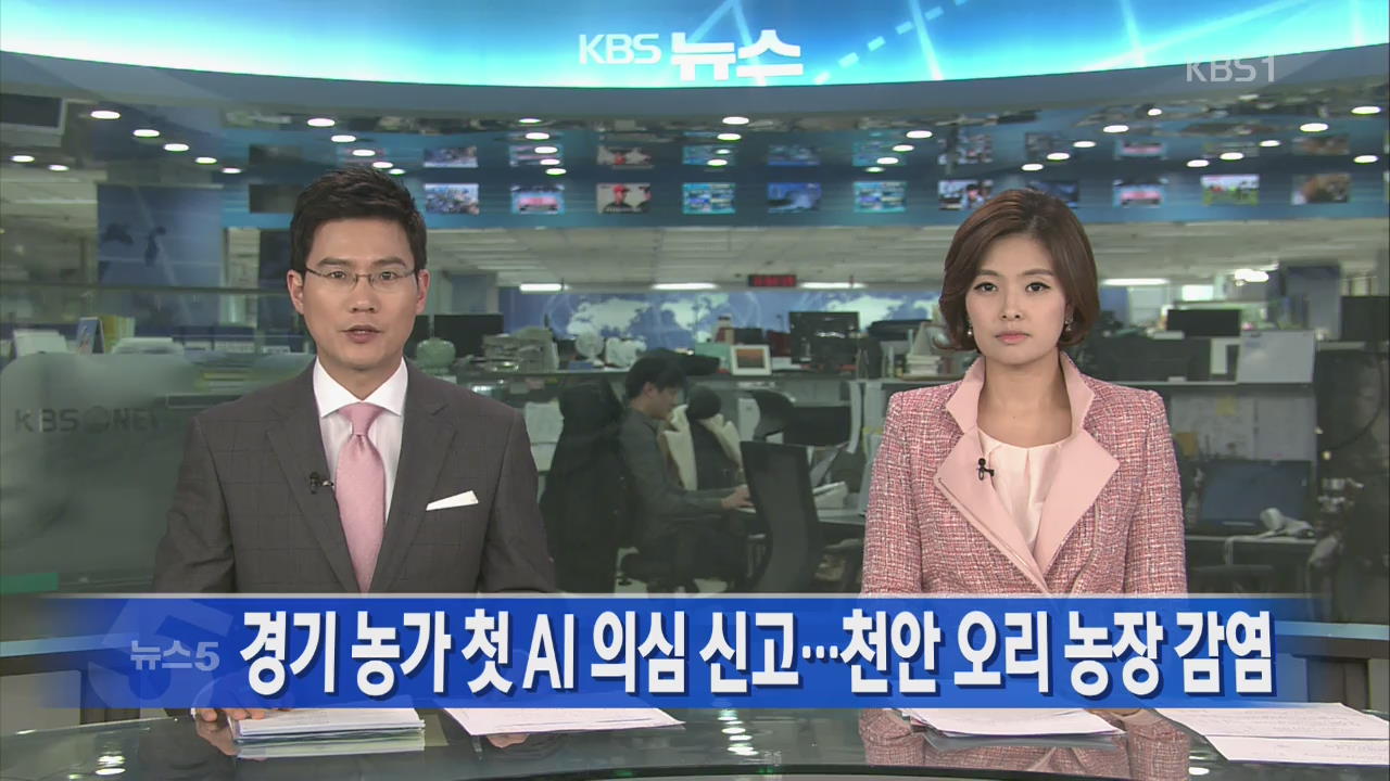 [뉴스5 헤드라인] 