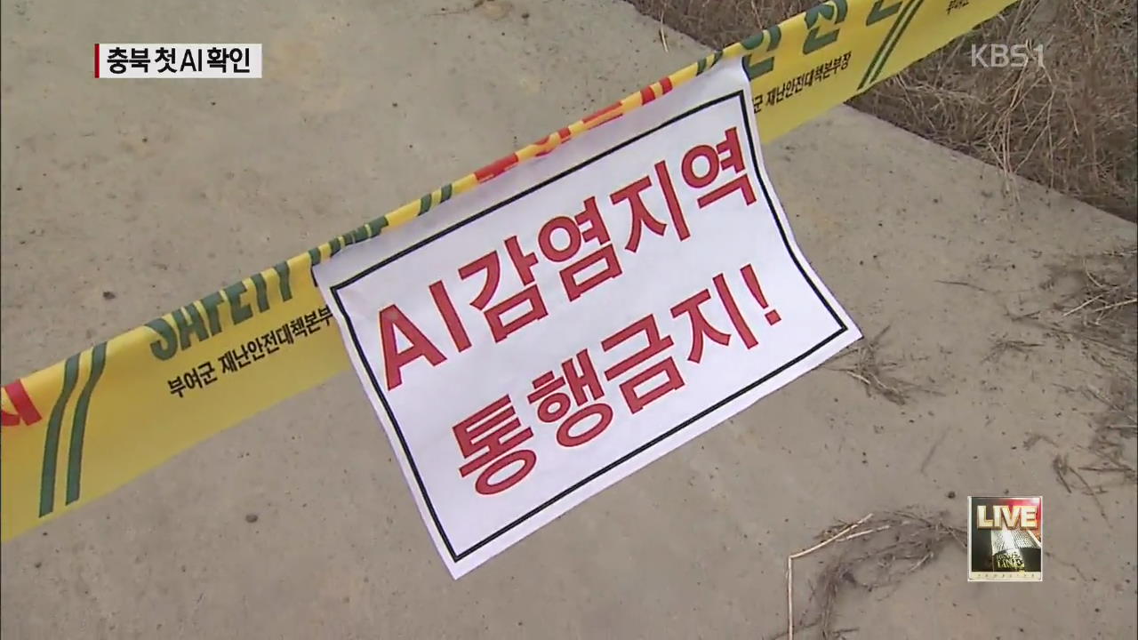 천안·나주서 AI 확진…경기 잇단 의심 신고