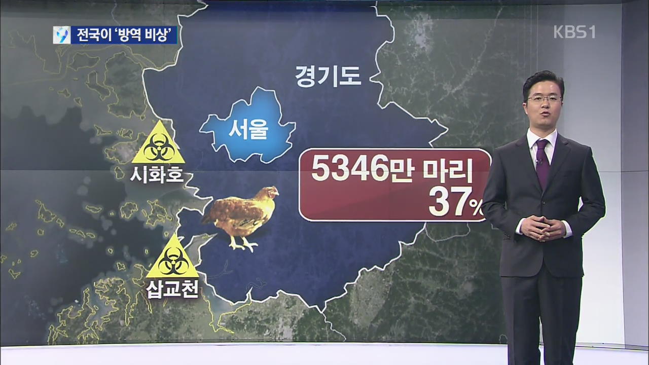 AI ‘안전지대’ 수도권 위협…전국 방역 비상