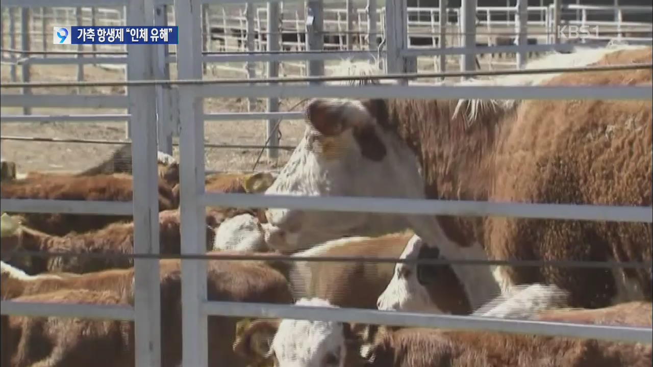 “가축에 사용된 항생제, 인체에 치명적 결과”