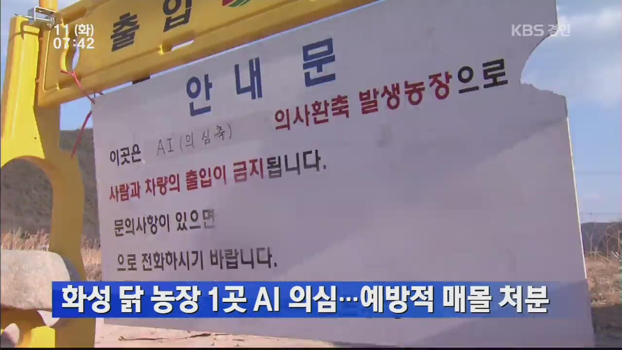 화성 닭 농장 1곳 AI 의심…예방적 매몰 처분