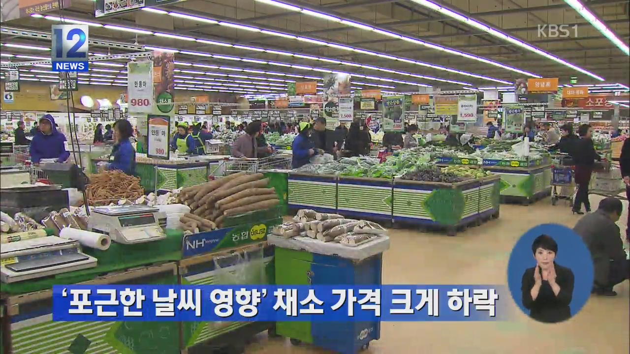 ‘포근한 날씨 영향’ 채소 가격 크게 하락