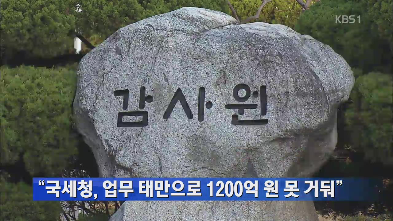 “국세청, 업무 태만으로 1200억 원 못 거둬”