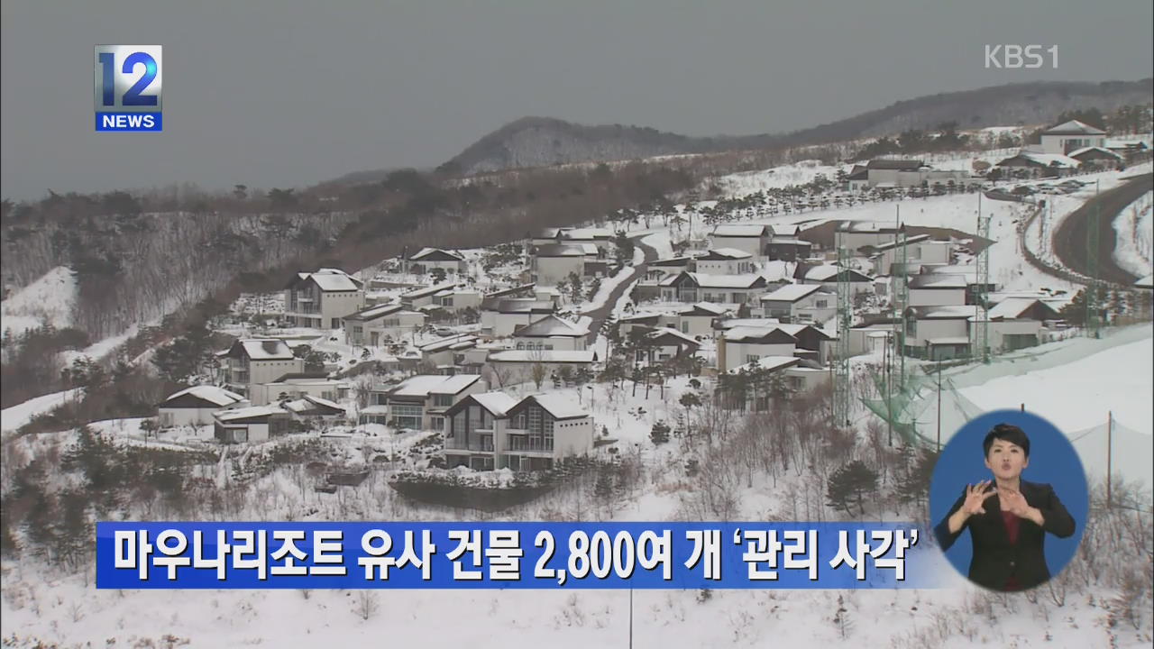 마우나 리조트 유사 건물 2,800여 개 ‘관리 사각’