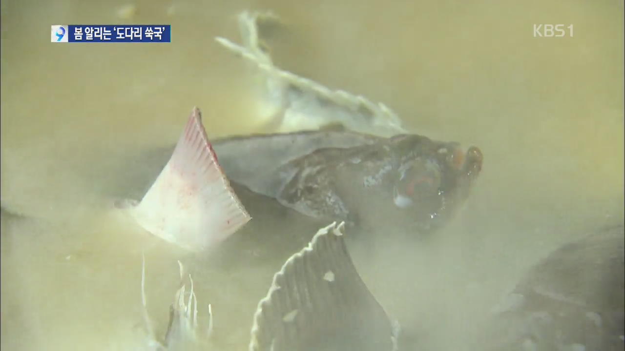 남해안 전통 보양식 봄의 맛 ‘도다리 쑥국’