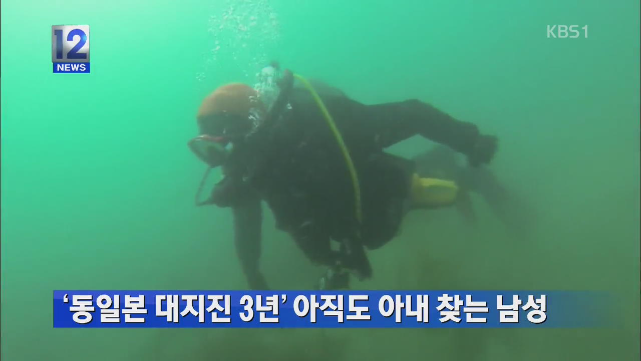 ‘동일본 대지진 3년’ 아직도 아내 찾는 남성