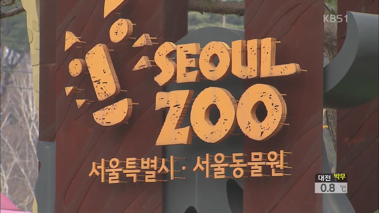 과천 폐사 기러기 AI 양성…서울 동물원 휴원