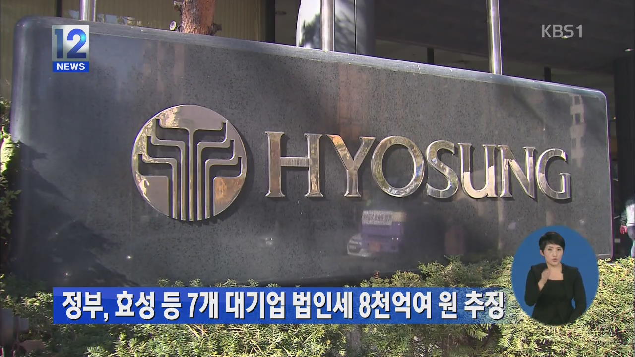 정부, 효성 등 7개 대기업 법인세 8천억여 원 추징
