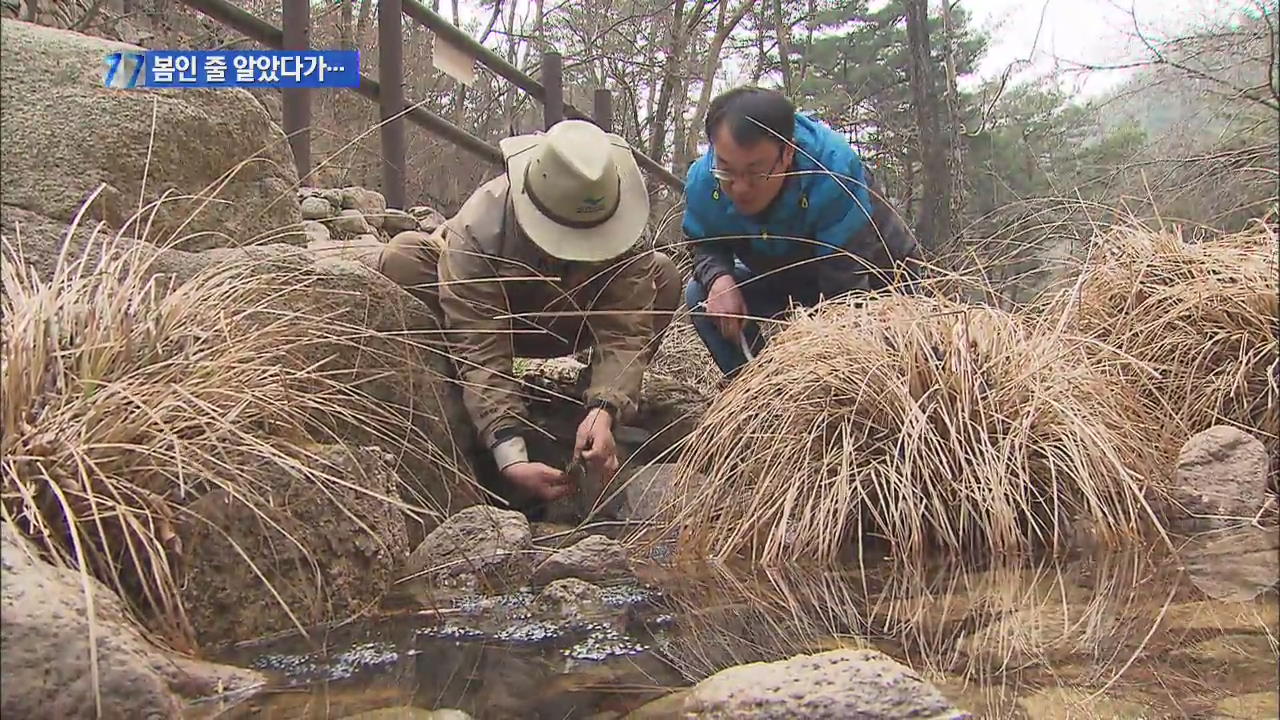 개구리 산란시기 빨라져…기온 떨어져 ‘얼어 죽어’