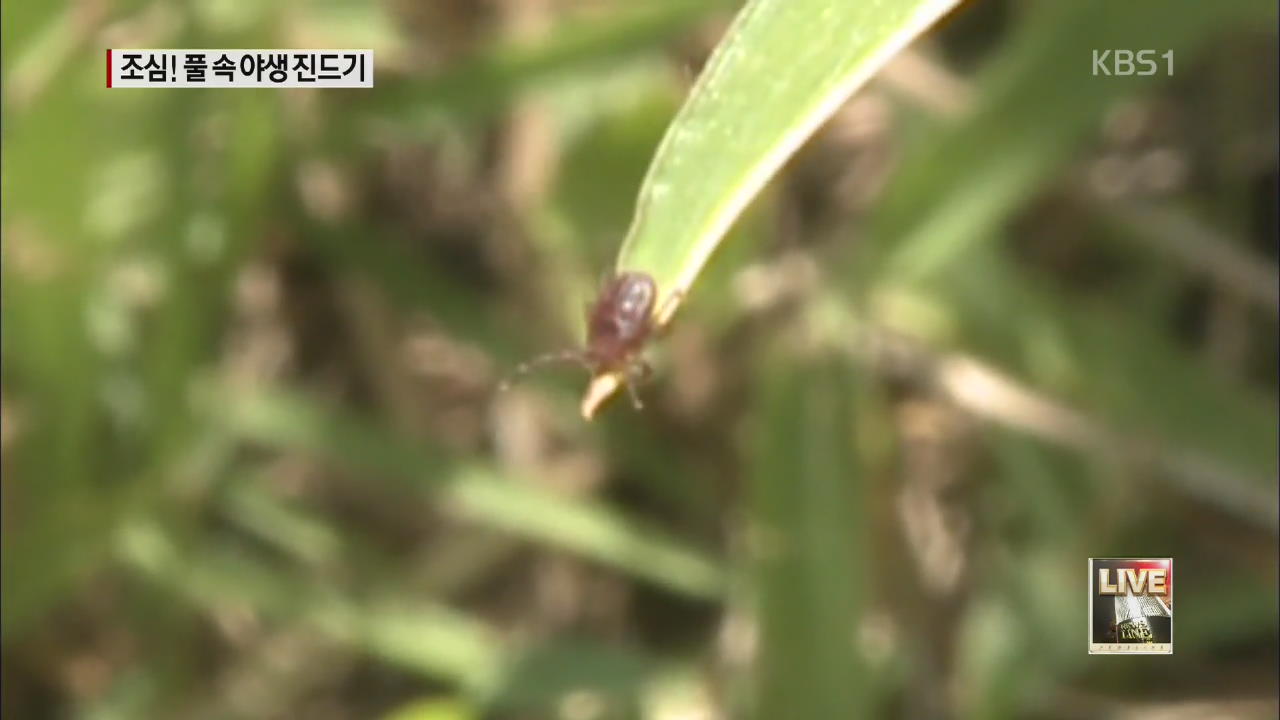 봄철 야외 활동 ‘진드기 주의보’…지난해 17명 사망