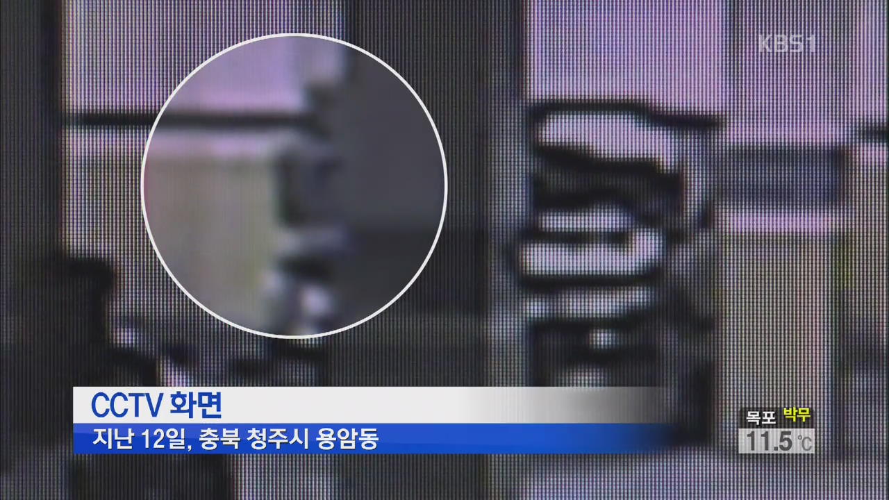 3주만에 40여대…유리창 깨는 차량털이 잇달아