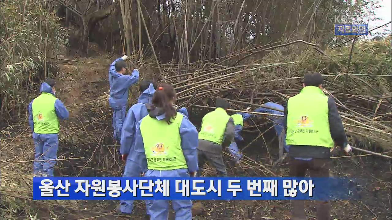 울산 자원봉사단체 대도시 두 번째 많아