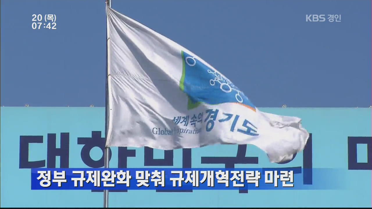 정부 규제완화 맞춰 규제개혁전략 마련