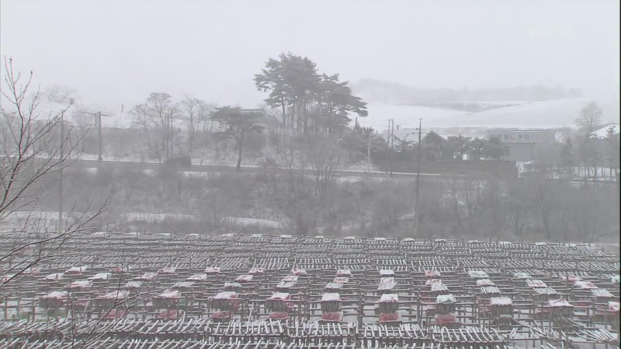 강원 산간 때 아닌 눈내려…5~20㎜ 눈 예상