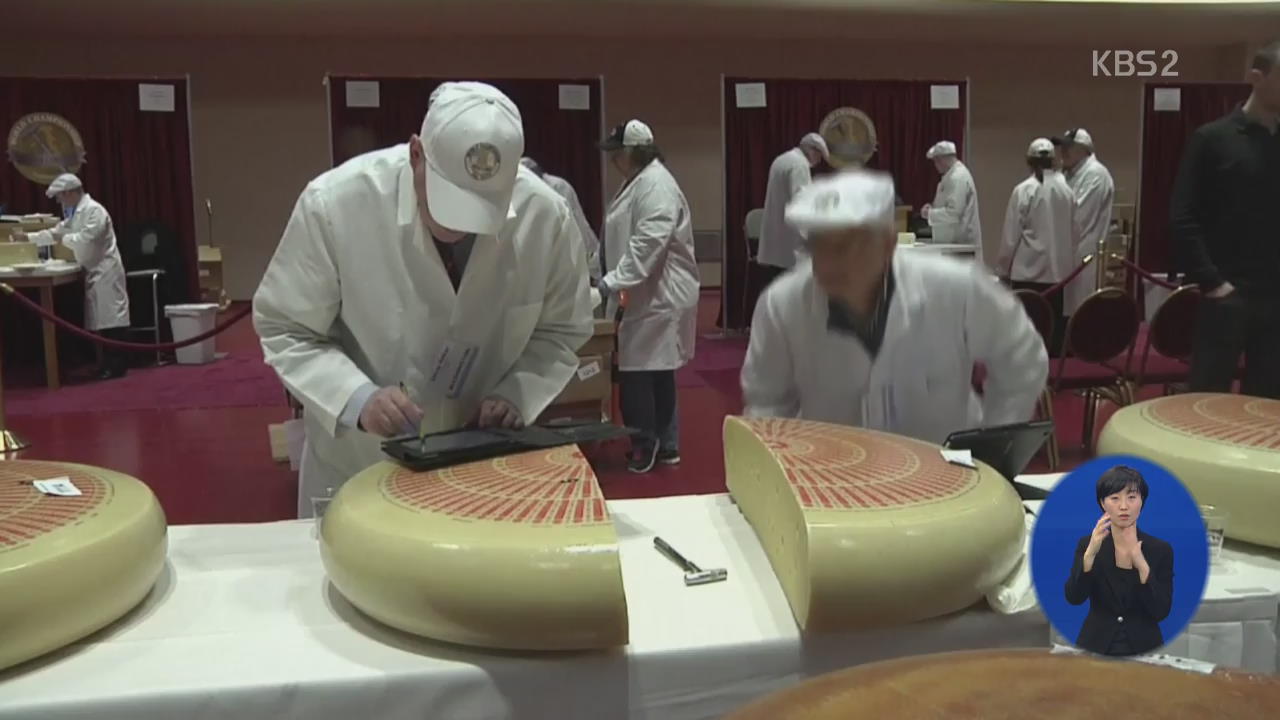 [지구촌 오늘] 올해 최고의 치즈는?