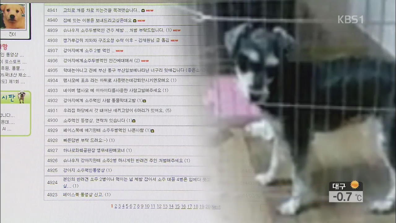 ‘만취 강아지’ 영상 논란…동물학대 비난 봇물