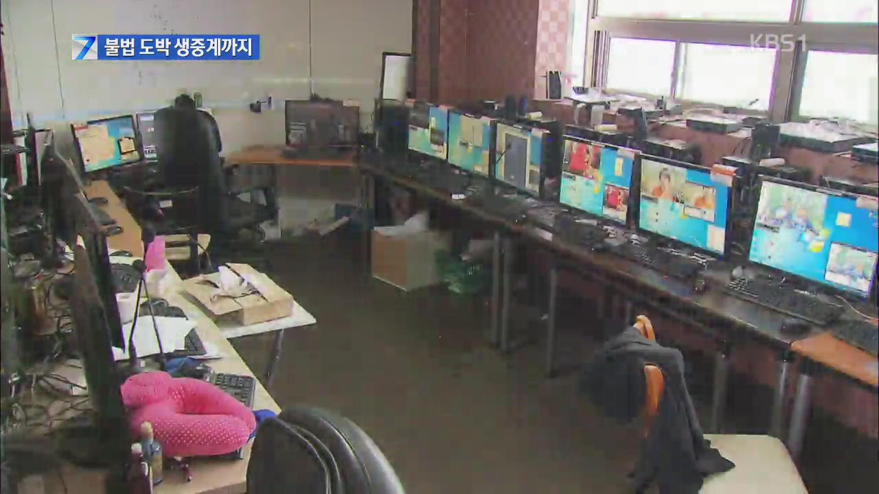 불법 스포츠 토토 적발…인터넷 생중계까지
