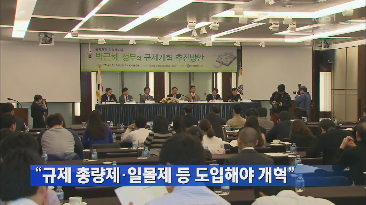 “규제 총량제·일몰제 등 도입해야 개혁”
