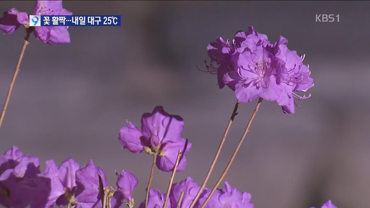 오늘 서울 21도…‘5월 기온’에 봄꽃 활짝
