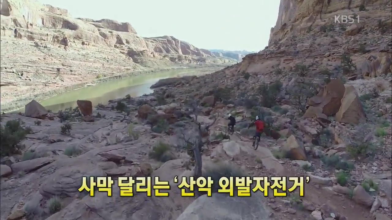 [세상의 창] 사막 달리는 ‘산악 외발 자전거’ 외