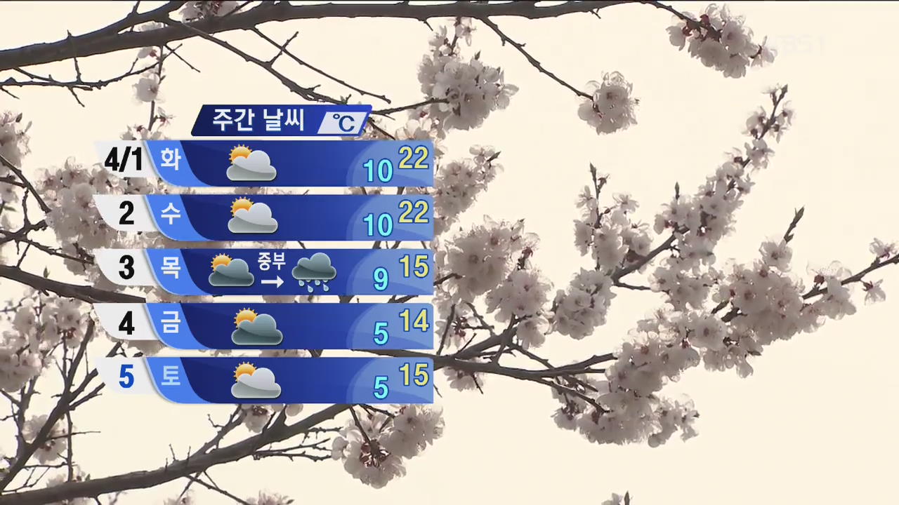 서울 낮 21 도…이번 주말 벚꽃 만개