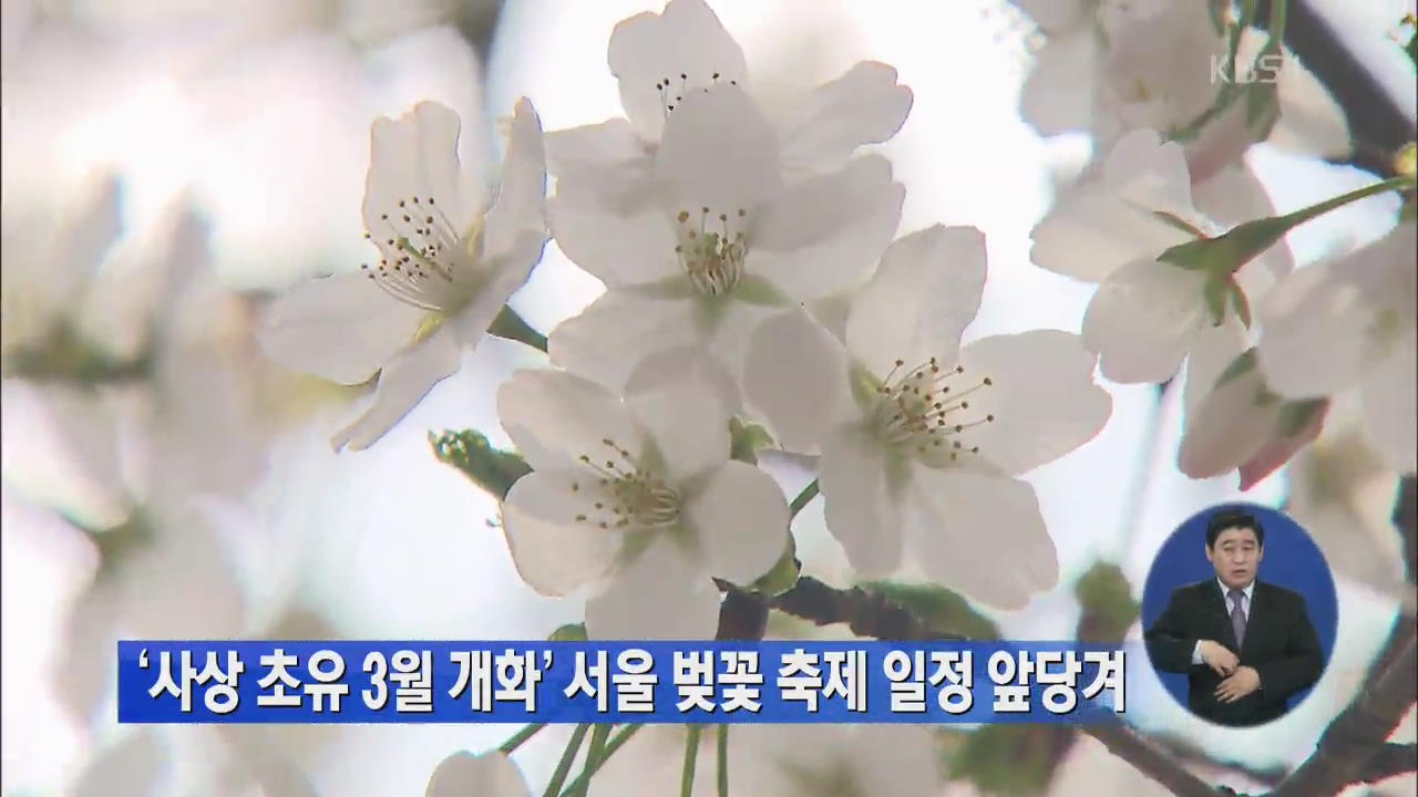 ‘사상 초유 3월 개화’ 서울 벚꽃축제 일정 앞당겨