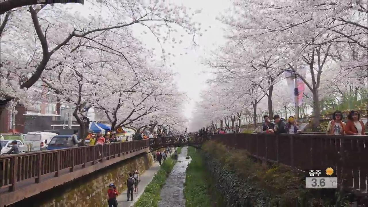 전국 최대 벚꽃축제 진해 군항제 개막