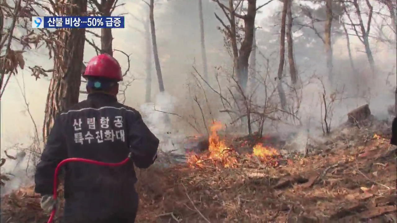 전국 산불 비상…기후변화에 식목기간 50%↑