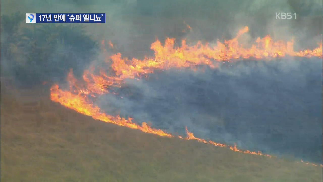 17년 만에 ‘슈퍼 엘니뇨’, 기상이변·온난화 비상