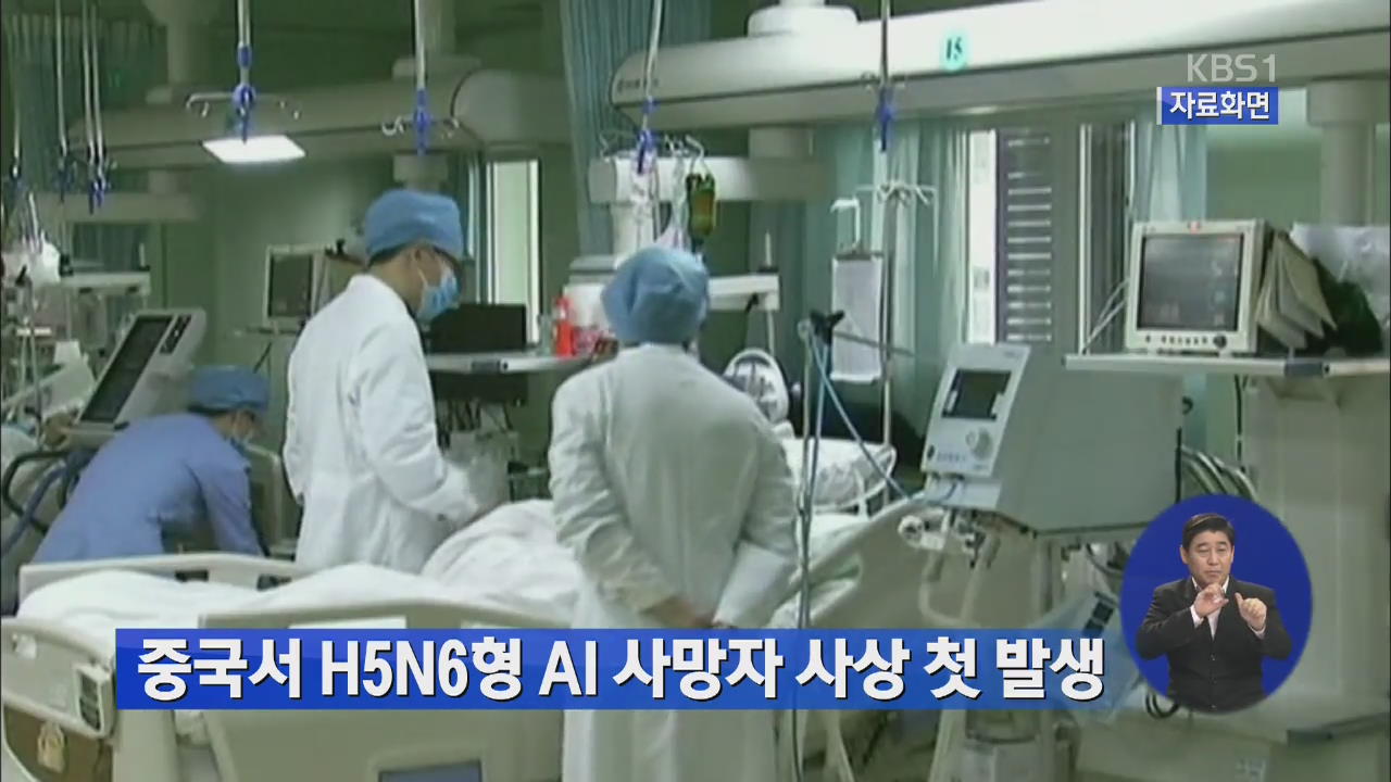 중국서 H5N6형 AI 사망자 사상 첫 발생