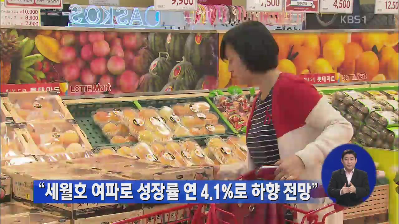 “세월호 여파로 성장률 연 4.1%로 하향 전망”