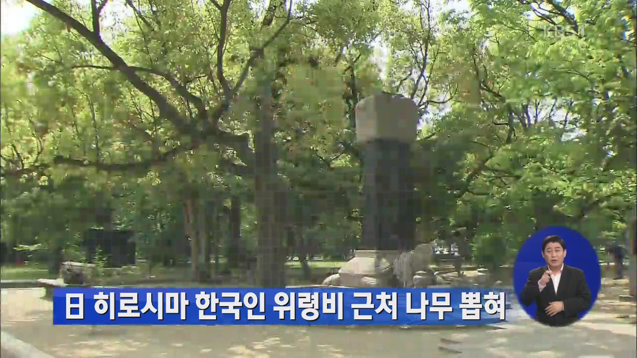 일 히로시마 한국인 위령비 근처 나무 뽑혀