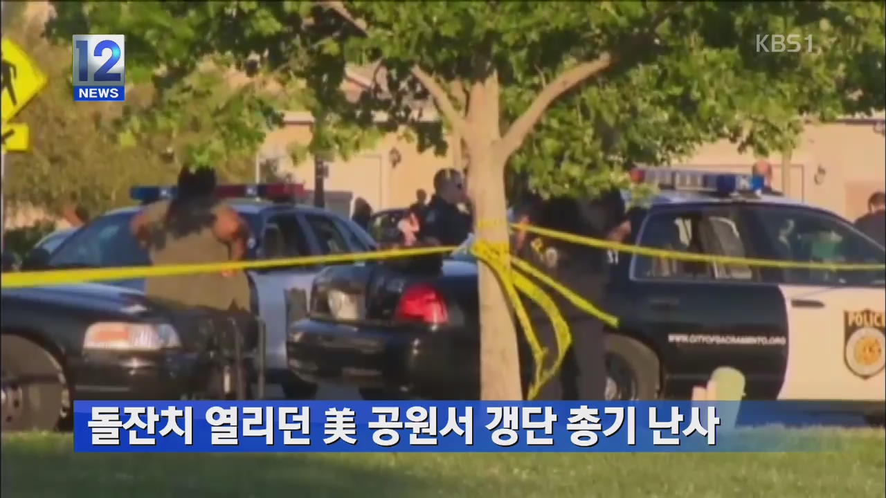 돌잔치 열리던 미국 공원서 갱단 총기난사